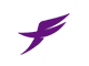 Flyring